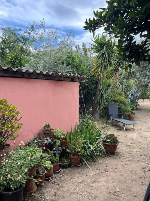 Maison De Village Vintage Avec Grand Jardin Elne Dış mekan fotoğraf