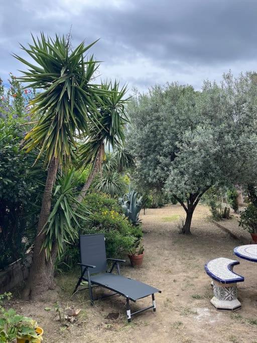 Maison De Village Vintage Avec Grand Jardin Elne Dış mekan fotoğraf