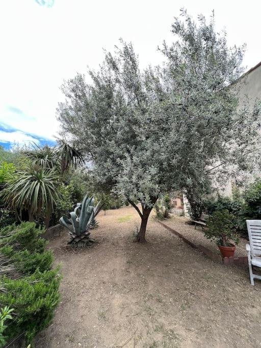 Maison De Village Vintage Avec Grand Jardin Elne Dış mekan fotoğraf