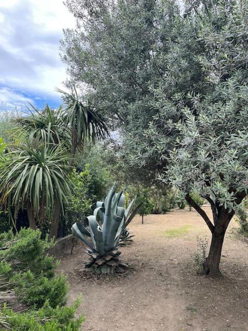 Maison De Village Vintage Avec Grand Jardin Elne Dış mekan fotoğraf